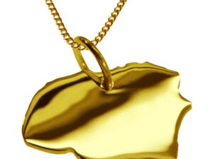 50cm Halskette + Föhr Anhänger in 585 Gelbgold