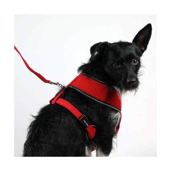 Pet-Star Softgeschirr / Netzgeschirr - Rot - XL – Bild 3