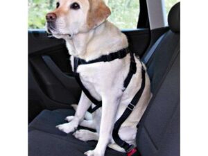 Trixie Auto-Sicherheitsgeschirr - M