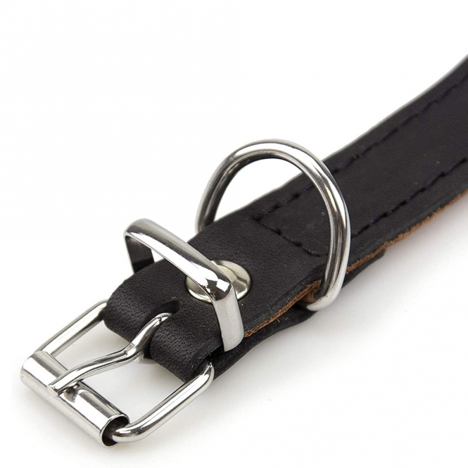 Karlie Rondo Windhund-Halsband - Schwarz - 50cm/60mm – Bild 2