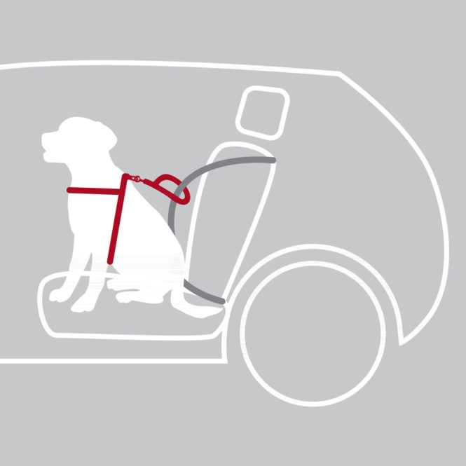 Trixie Auto-Sicherheitsgeschirr Dog Protect - S-M: 40-55 cm – Bild 3