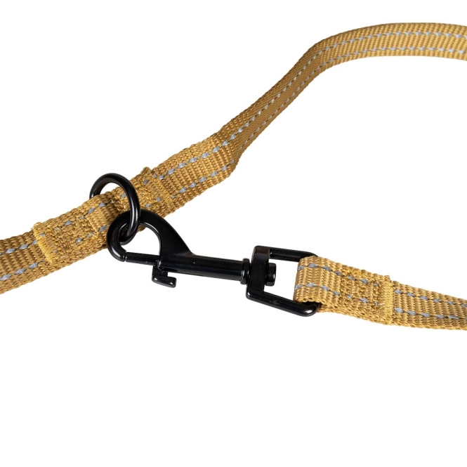 Duvoplus Trainingsleine EXPLOR Ultimate Fit Classic - honey gold - 220cm - 16mm – Bild 2