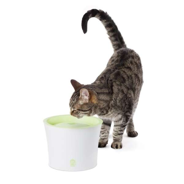 CATIT Fresh+Clear Trinkbrunnen 3L - Lindgrün – Bild 2
