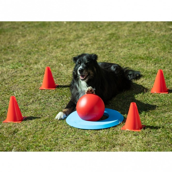 PROCYON Dog Golf Set – Bild 3