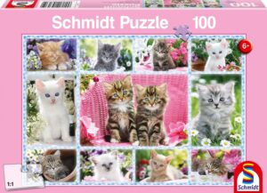 Katzenbabys - 100 Teile Puzzle